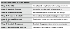 Brunnstrom stroke recovery theory